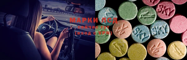 a pvp Алексеевка